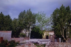 ConstNuevaEsc_1994_2