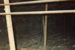 Estructura interna techo salón 1992 (2)