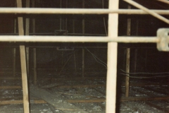 Estructura interna techo salón 1992
