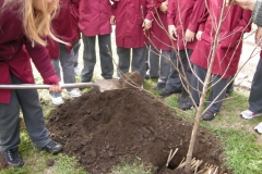 Proyecto de conciencia ecológica.