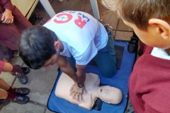 Curso de RCP